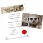Meerkat Certificate